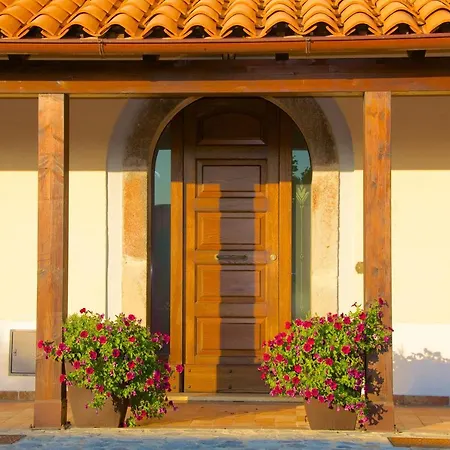 Alba *