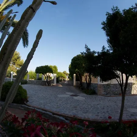 Bed & Breakfast Alba *